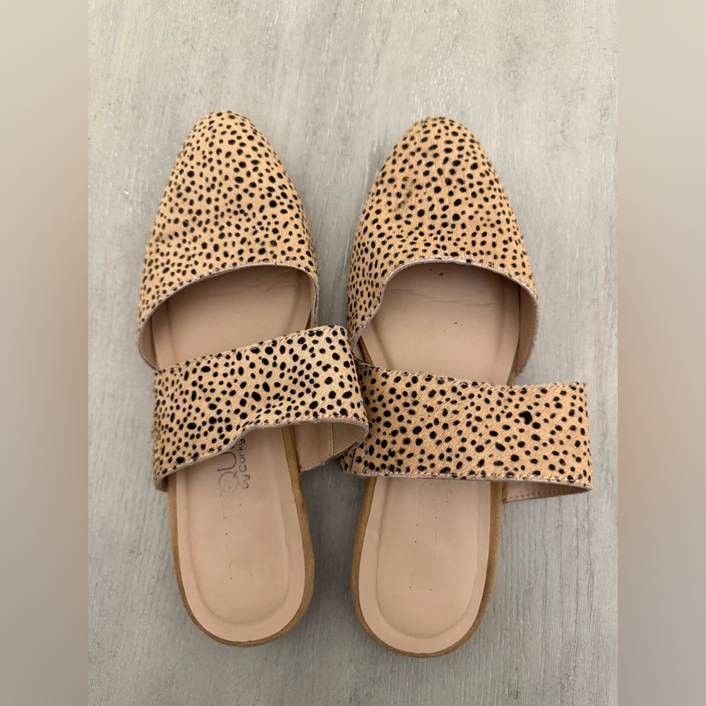 Coconuts by Matisse Tan and Black Mules